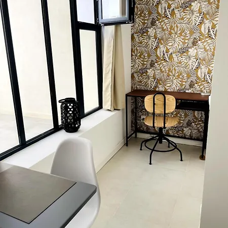 Lägenhet Climatise, Traversant Avec Verriere Montpellier